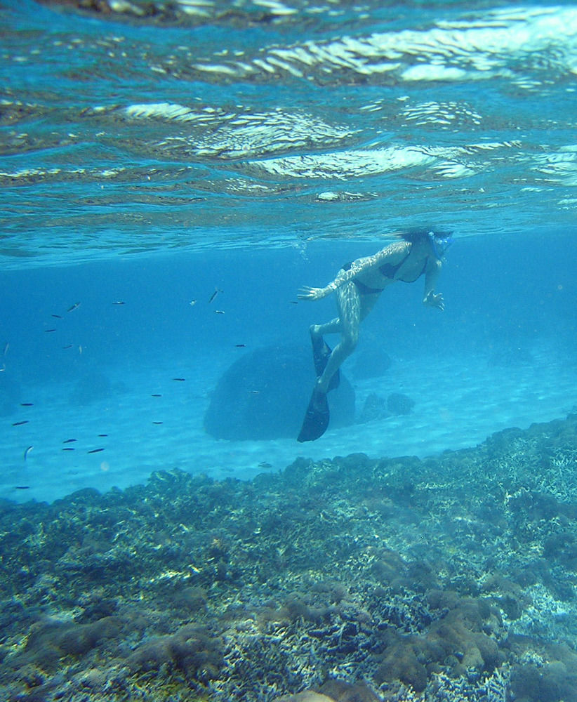North Borneo Biostation Resort Kudat Esterno foto